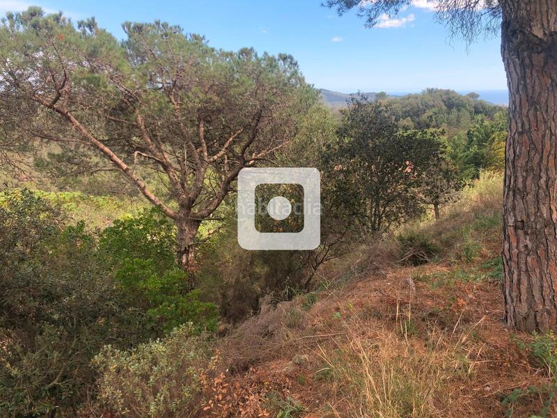 Foto cc183271-c5c1-4294-b835-c42aaf4efc5f. Terrain résidentiel dans Urbanitzacions Argentona