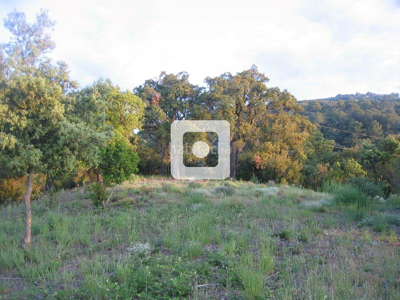 Foto 53d90deb-e782-4e21-8255-a1bf40e00727. Casale in Sant Pere de Vilamajor