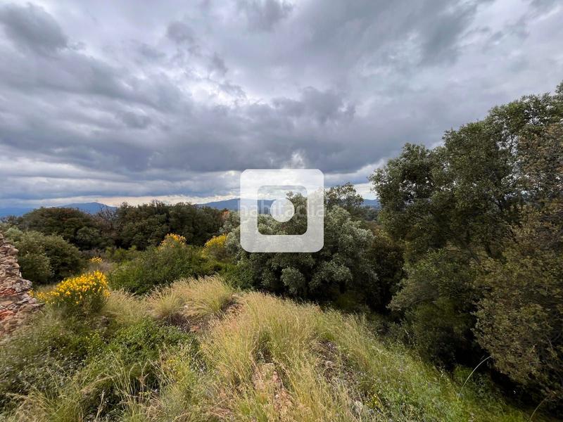 Foto 5b266db2-7e7d-451b-a5a1-8d5dea008a38. Casale in Sant Pere de Vilamajor