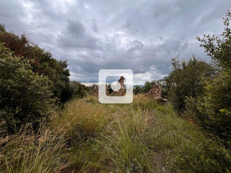 Foto 705e9aeb-f3e9-49e3-8540-892f407115fd. Casale in Sant Pere de Vilamajor