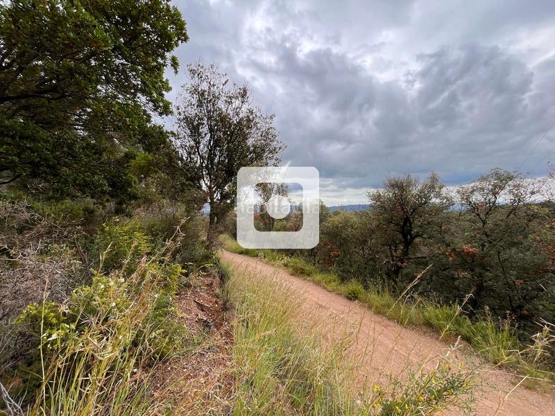 Foto 776436ab-2033-4c96-a872-c0ddf6e06899. Casale in Sant Pere de Vilamajor