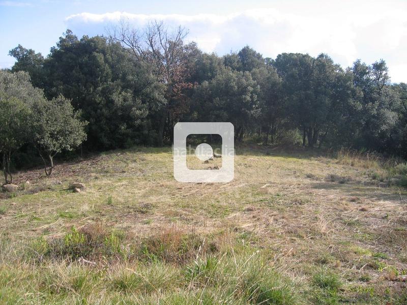 Foto 79d01610-6332-4630-b97e-0298f01bdd1f. Casale in Sant Pere de Vilamajor