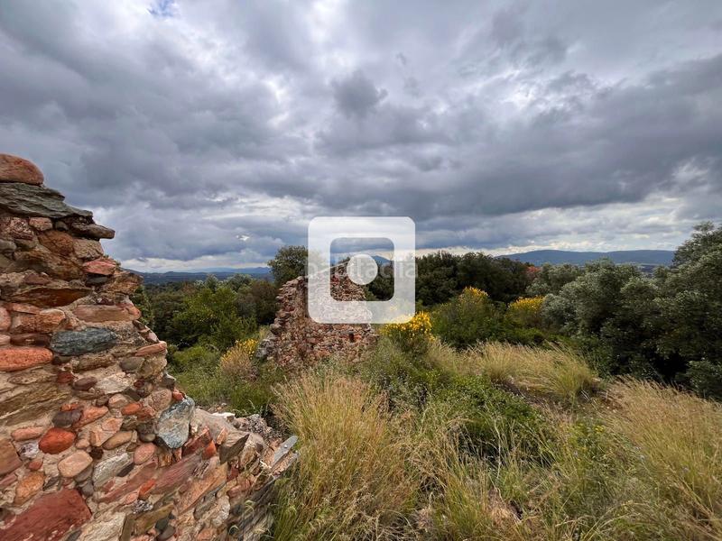 Foto 8084fd1a-f33c-4410-a023-1eead24ebd5f. Casale in Sant Pere de Vilamajor