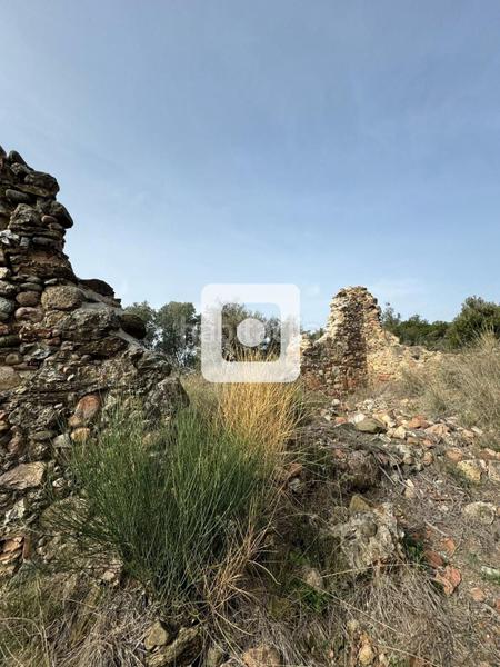 Foto 885a89f1-c5ac-425d-8dbc-c626686b5a39. Casale in Sant Pere de Vilamajor