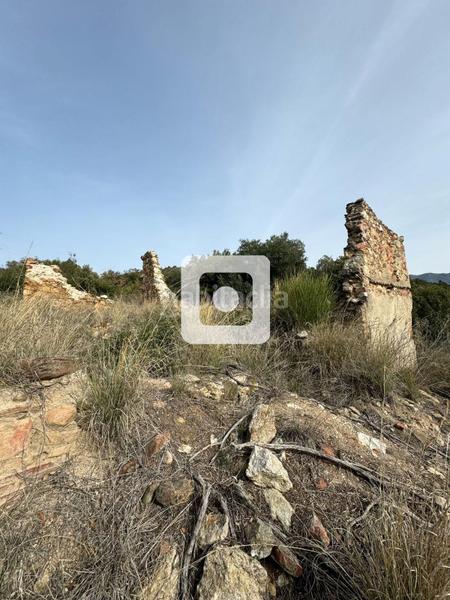 Foto 96d67042-5f42-4a75-92b8-f2187f88eff1. Casale in Sant Pere de Vilamajor