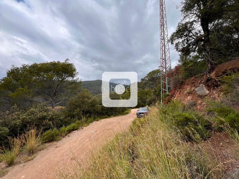 Foto b0962b8c-ccc9-4a70-baff-15e69db566b3. Casale in Sant Pere de Vilamajor