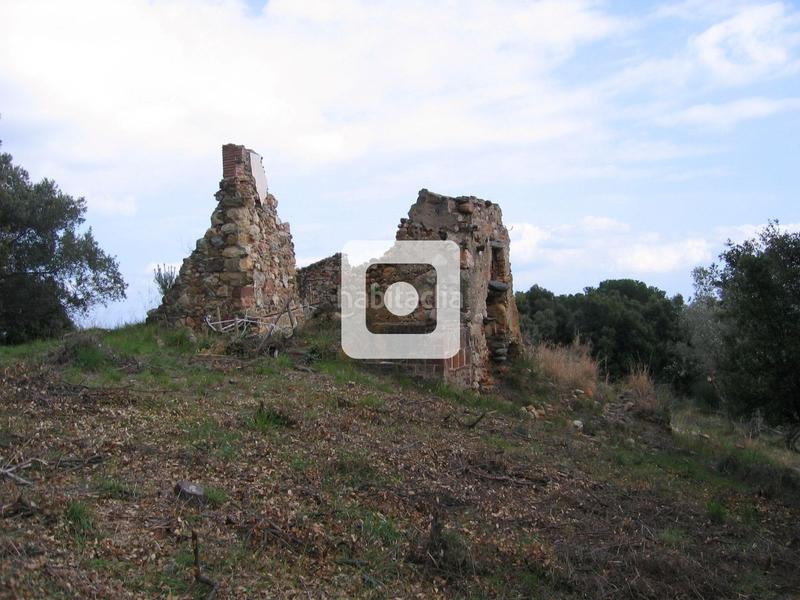 Foto bb22c9bb-0163-4282-bed1-787a2c6fc537. Casale in Sant Pere de Vilamajor