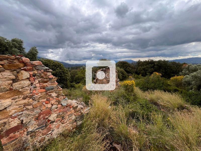 Foto c09b9472-ac8d-43dc-9d82-401975a5f6da. Casale in Sant Pere de Vilamajor