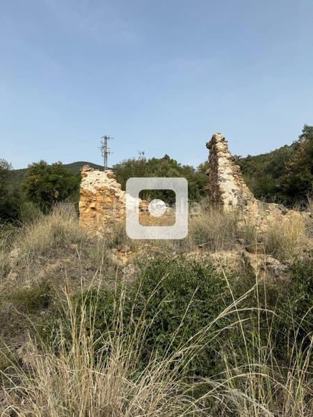 Foto c7f1b590-b062-489d-b747-7335ff6bf23a. Casale in Sant Pere de Vilamajor