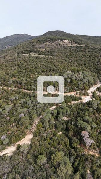 Foto c8027cbc-4a2c-431f-ab9f-b5013121ef3c. Casale in Sant Pere de Vilamajor