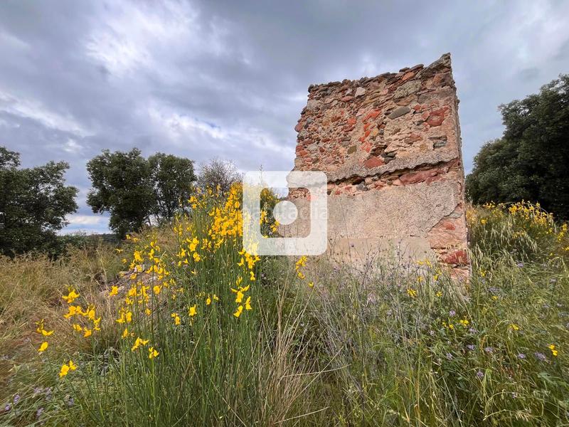 Foto cecd25dc-b98f-4e34-8b60-23dc56ee2f8f. Casale in Sant Pere de Vilamajor
