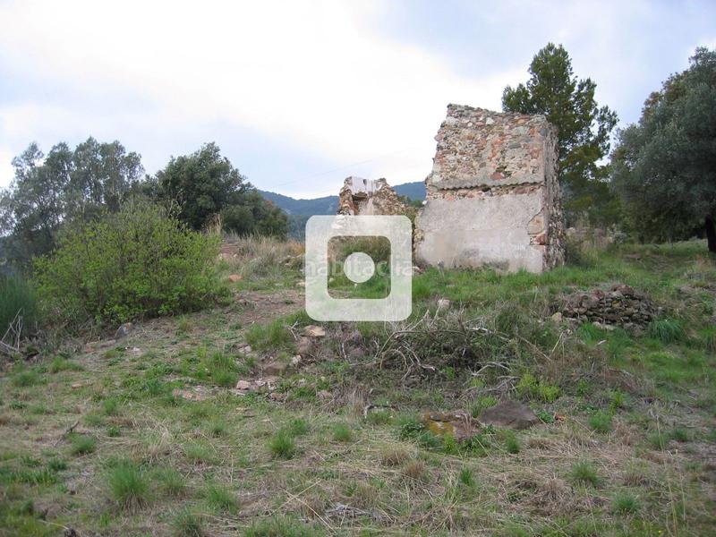 Foto d7a53b6f-f594-49c2-92d9-8fe360daeea2. Casale in Sant Pere de Vilamajor