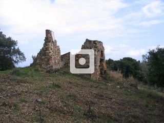 Rural plot in CAN PAIRANA