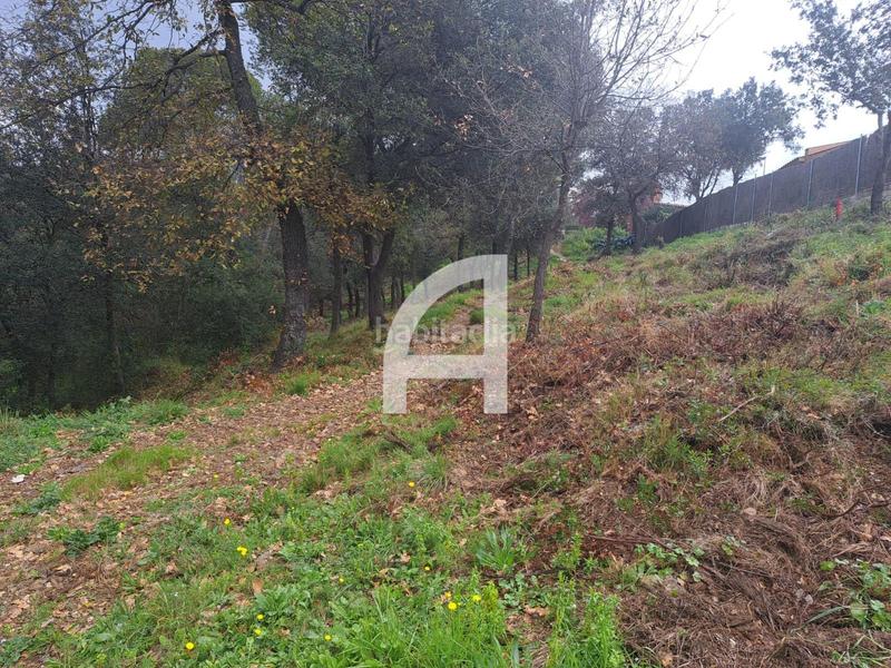 Foto 009ad282-ebc0-42b2-bdad-95df415833ad. Landgut in Molins de Rei