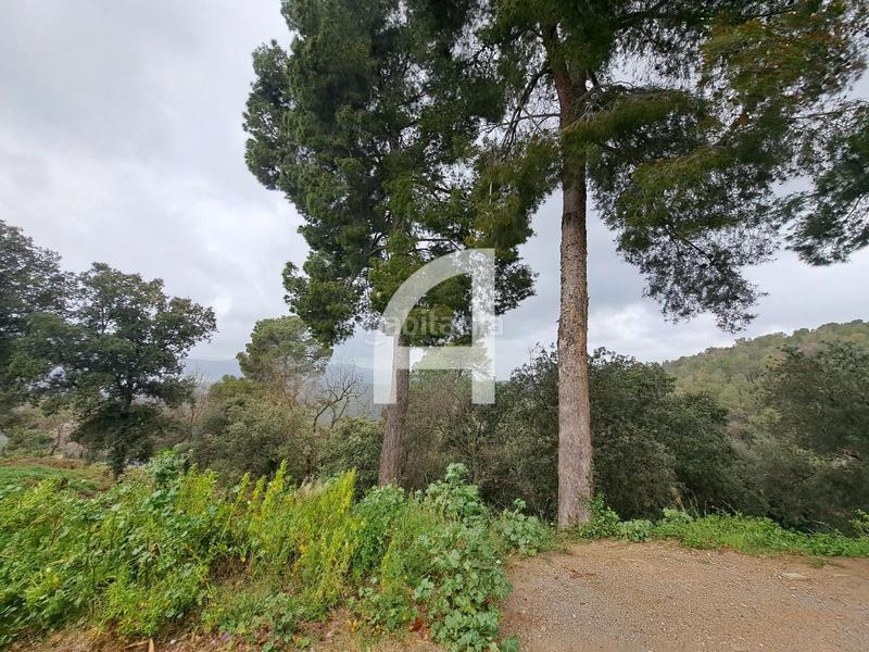 Foto 314ee397-8966-4363-841f-fbdd334fe5cb. Landgut in Molins de Rei