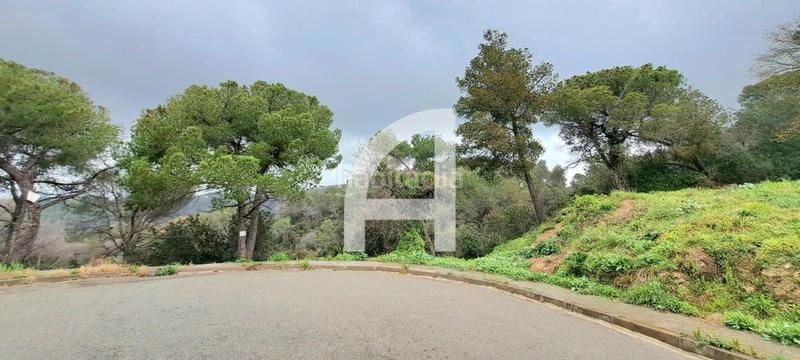 Foto 5a0ad600-87f6-46c4-b8a7-ae077e855824. Landgut in Molins de Rei