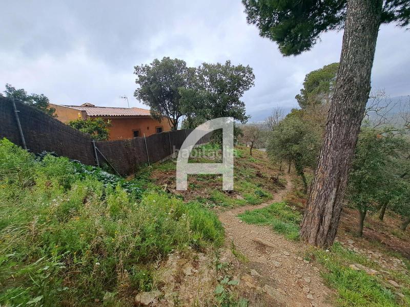 Foto b7d984cb-131c-463c-9097-db1de683c563. Landgut in Molins de Rei