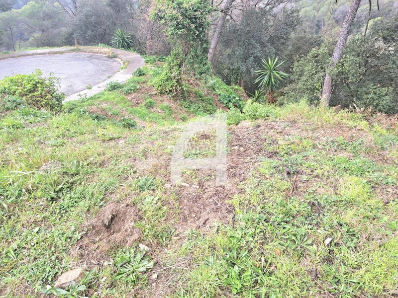 Foto b9856bbb-0cde-4622-bdb8-b7cc18ae2835. Landgut in Molins de Rei