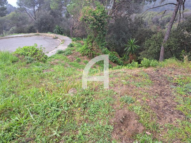 Foto f0b3c092-5c60-4b4c-84fb-062c549ed2af. Landgut in Molins de Rei