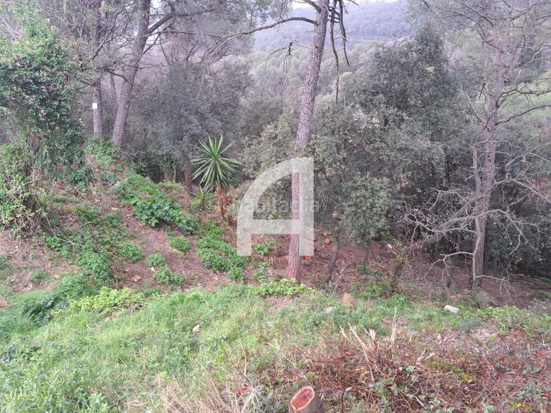 Foto fb3053c6-f517-40d6-b70b-4f7c5c8b3144. Landgut in Molins de Rei