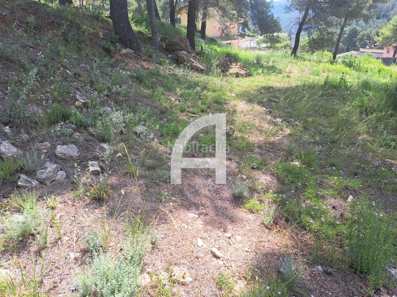 Foto 2cfa383a-d1d0-46ca-84f5-2b6ab6bd7302. Rural plot in Corbera de Llobregat