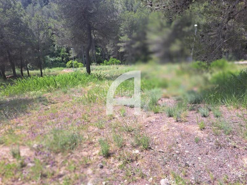 Foto 56e85518-2f5d-4d47-bfaf-ffc127ecd51d. Rural plot in Corbera de Llobregat