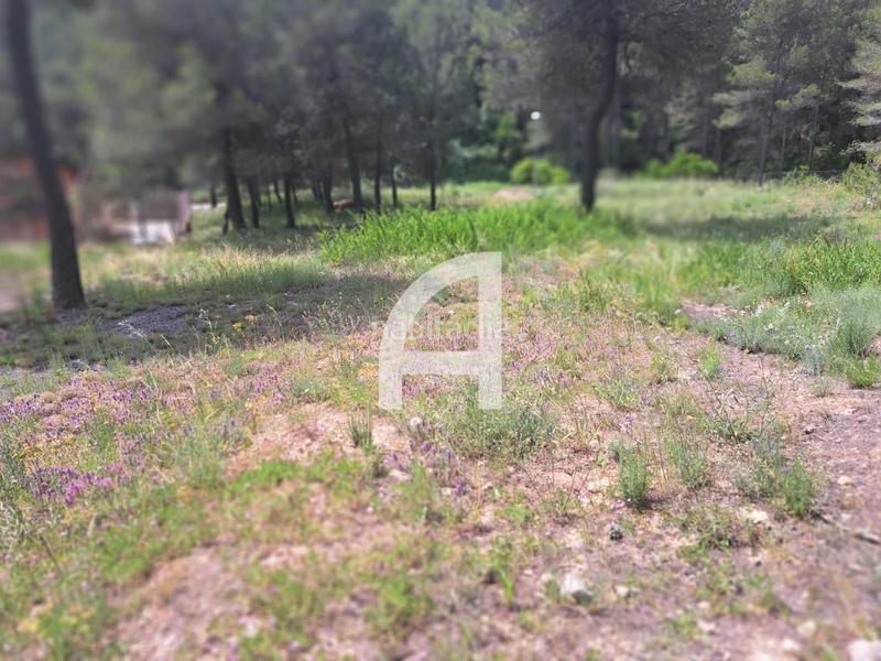 Foto 77d5ac12-4d3c-442f-91e2-7d5d4289ddf5. Rural plot in Corbera de Llobregat