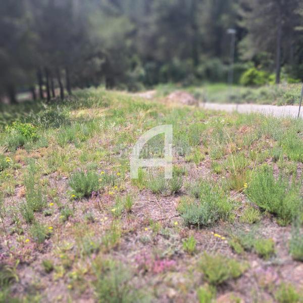 Foto 7d55eff2-0602-443a-b0b3-859b9cdde05d. Rural plot in Corbera de Llobregat