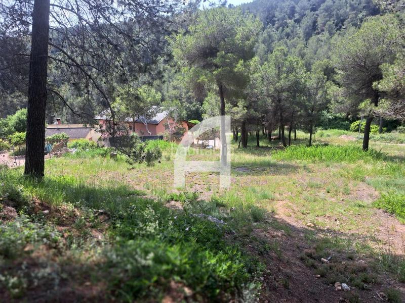 Foto 9f3d2a9f-32e5-4a25-b58a-e64ad8c26627. Rural plot in Corbera de Llobregat