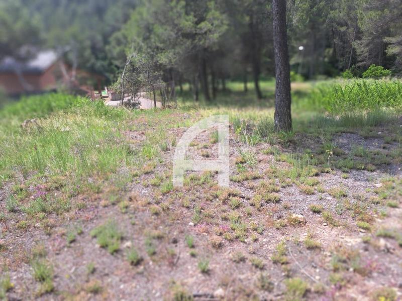 Foto a4c6d4dc-49c8-4c81-b07e-71bb4f537121. Rural plot in Corbera de Llobregat