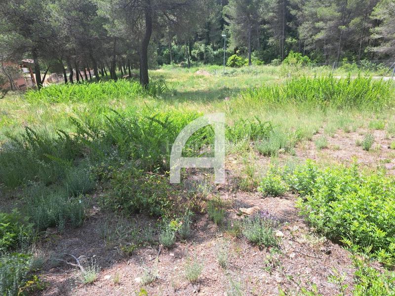 Foto aa5b8a7c-917a-4ddd-93a8-170e0b9037ae. Rural plot in Corbera de Llobregat