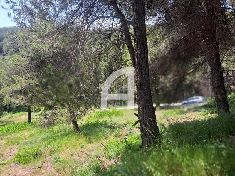 Foto b492bc47-b0ee-4e89-8920-dae399a6744c. Rural plot in Corbera de Llobregat