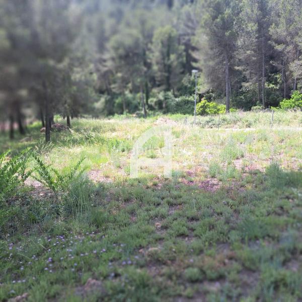 Foto bb7e1e5f-68bf-455a-aa48-239e89d4ce86. Rural plot in Corbera de Llobregat