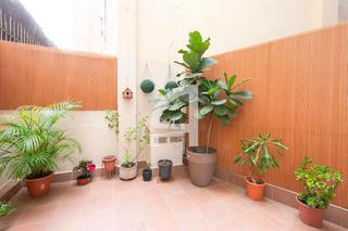 Piso  Carrer aribau. Atractivo piso con patio de 15m