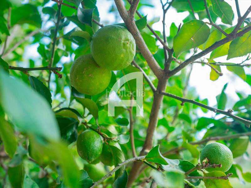 Foto 77fb9eb5-be31-49ad-ae14-2a2b34255a37. Bauernhof mit heizung parking pool in Sant Miquel de Fluvià