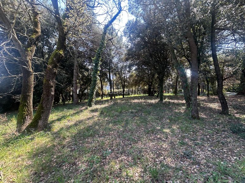 Foto 239fa8c4-c790-4d4b-9a4a-dc2b789ee3f8. Residential plot in Sant Antoni de Vilamajor