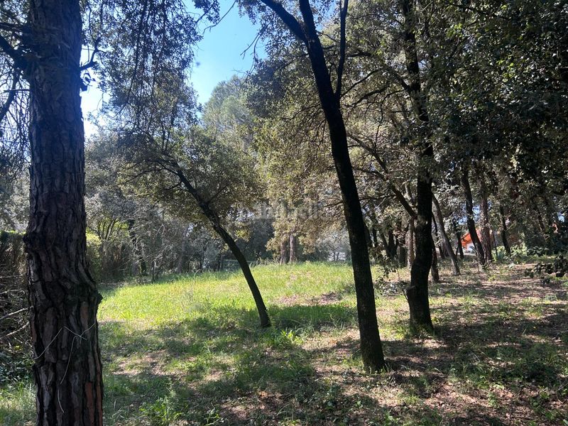 Foto 34269546-fa35-4197-8de6-9302beab46d9. Residential plot in Sant Antoni de Vilamajor
