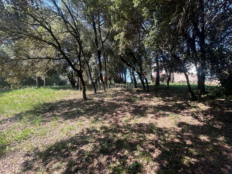 Foto 79e2289f-94bb-4667-8cca-5450d4caf8f9. Residential plot in Sant Antoni de Vilamajor