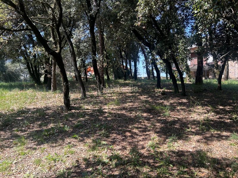 Foto a17fc8e6-045b-45bb-b1a7-8ef31b9662a2. Residential plot in Sant Antoni de Vilamajor