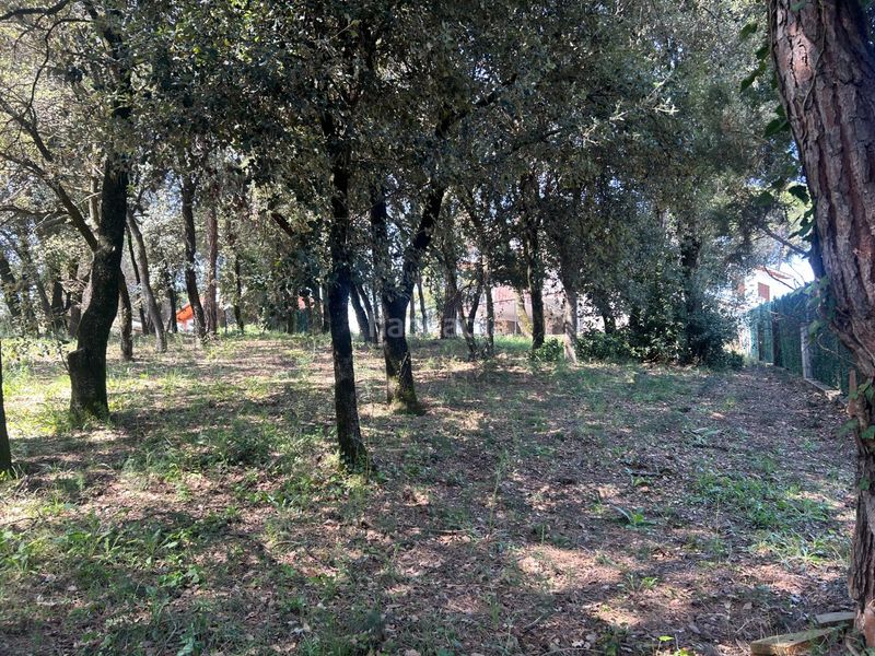 Foto b3982e2e-41a3-473b-beef-bfc730f7f7d3. Residential plot in Sant Antoni de Vilamajor