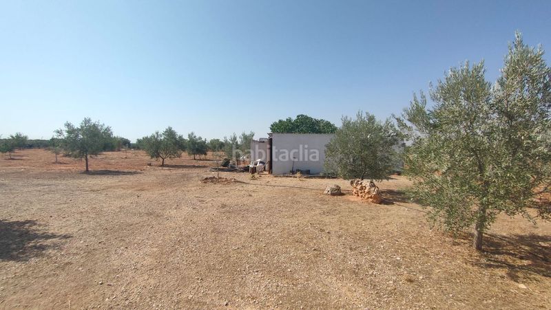 Foto 5a946348-dcd8-415a-a35a-a9121e43006b. Masia amb calefacció aparcament a Valdepeñas