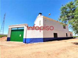 Terrain résidentiel à Valdepeñas. Finca rúst. en venta en carretera moral, 7 dormitorios.