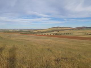 Terrain résidentiel à Valdepeñas. Parc. rúst. en venta en carretera moral.