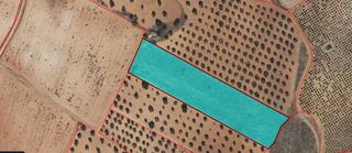 Residential Plot in Valdepeñas. Parc. rúst. en venta en baños del peral.