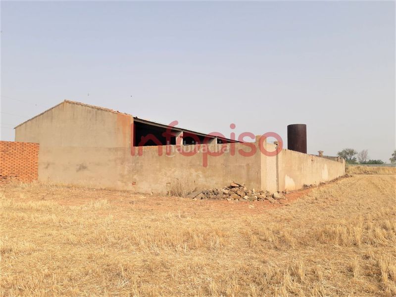 Foto cbb43a64-c760-42a8-a305-8cde6e9cacb7. Masia a Valdepeñas