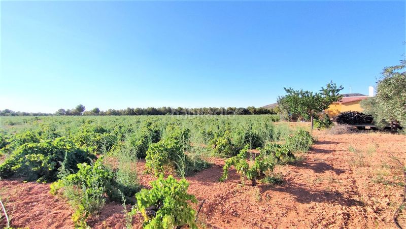 Foto ace2ab18-5a7e-447e-bb5e-a387097960bf. Masia a Valdepeñas