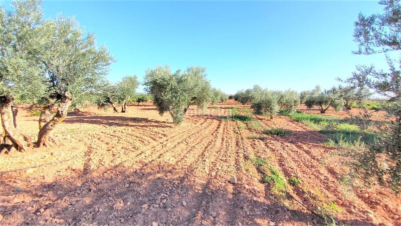 Foto b0b54244-3c33-4940-a3cf-15ca9504815d. Masia a Valdepeñas