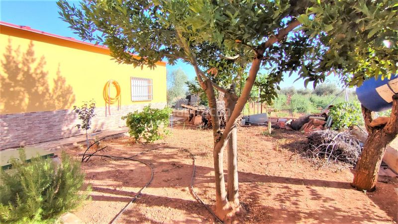 Foto d239df04-c281-455d-9c27-08d73c01b8c1. Masia a Valdepeñas
