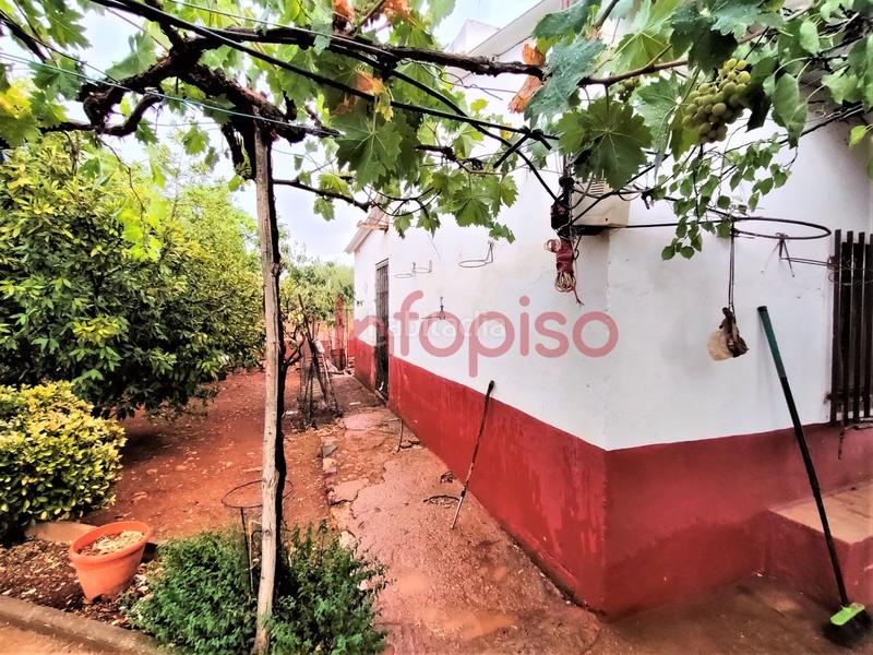 Foto 035e523f-d275-4c96-a2c8-af7f55515ce2. Country house in Valdepeñas