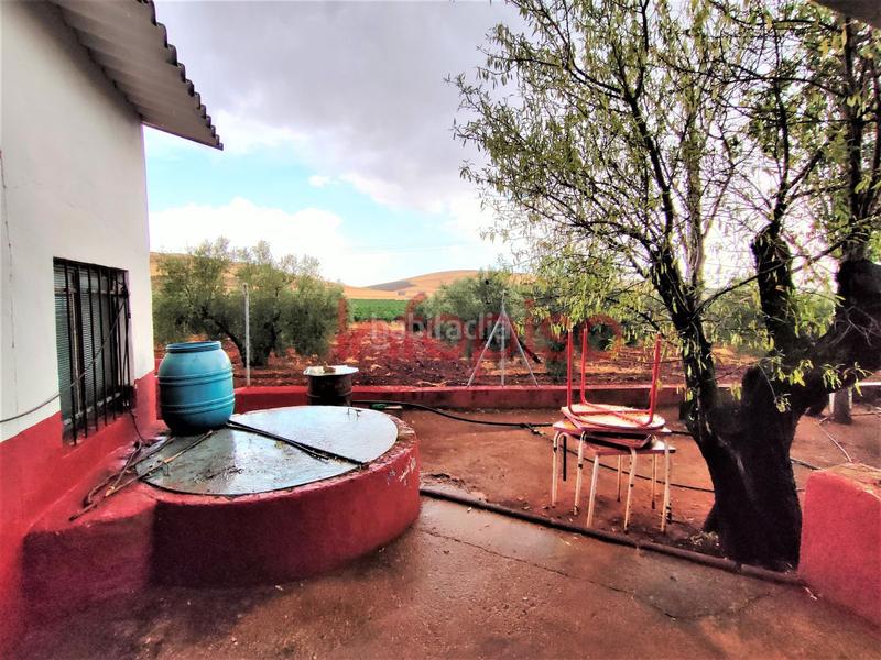 Foto 9f600676-3fa3-4f2a-866d-2e61b3accb08. Country house in Valdepeñas